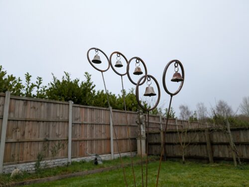 Pxl 20250116 135632426.mp