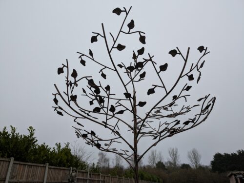 Pxl 20250116 140959184